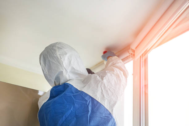 Why You Should Choose Our Mold Remediation Services in Eastvale, CA